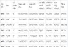 “2025 Rollercoaster Ride: Unraveling the VN-Index Peak’s Wild Swings”