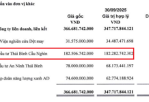 Strategic Capital Reallocation: Damsan Divests from Affiliate to Bolster Sole Subsidiary’s Growth