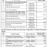 Each Employee Generates Nearly $38,000 in Monthly Revenue: What’s Đạm Phú Mỹ (DPM) Strategizing for 2026?