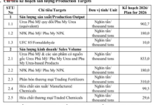 Each Employee Generates Nearly $38,000 in Monthly Revenue: What’s Đạm Phú Mỹ (DPM) Strategizing for 2026?