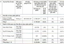 Hoa Phat Agriculture Completes IPO, Raising VND 1.2 Trillion; Vietcap Acquires Nearly 12 Million Shares, Securing 39% of Offered Volume
