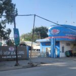 Halong Canned Food Company Audit: No Violations Detected in 3 Years
