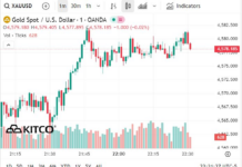 Gold Prices Surge to Unprecedented Highs, Marching Towards New Milestone