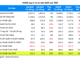 TNG Records 392 Billion VND Profit in 2025, Stock Rebounds Strongly