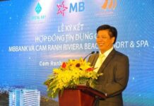 Eastern European Tycoon Launches $13 Million Airline: Avoiding Direct Competition with Vietjet and Vietnam Airlines