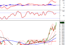 Vietstock Weekly 12-16/01/2026: Reaching New Heights