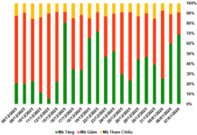 January 8, 2026: Warrant Market Rallies Alongside Underlying Market