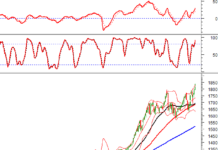 Technical Analysis for the Afternoon Session of January 7th: Soaring to New Heights