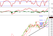 Technical Analysis for the Afternoon Session of January 14: Ongoing Tug-of-War in Market Dynamics