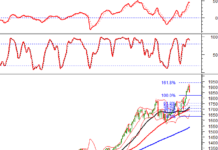 Technical Analysis for the Afternoon Session of January 15th: A Sharp Correction