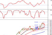 Technical Analysis for the Afternoon Session of January 29: A Tug-of-War