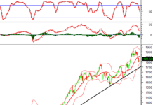 Technical Analysis for the Afternoon Session of January 30: Continued Recovery