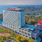 What Drives the 42% Stake Withdrawal in Niwaco by a Company Linked to the Director?