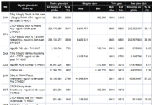 Insider Trading Spotlight: Major Transactions in DNP, GMD, HNG, and XMC