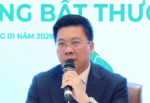 Urgent Development: Cat Lai and Long Hung Bridges; CC1 CEO Announces 100 Million Shares Issued at VND 11,100 per Share