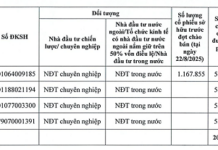Automotive Plant Owned by Tycoon Nguyen Duy Kien Reports 15th Consecutive Year of Losses