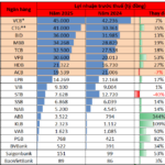 20 Banks Reveal 2025 Profits: HDBank Secures Spot Among Top 3 Private Banks in Earnings