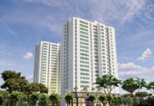 The Bold Move by Bầu Đức