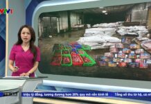 120 Tons of Foul-Smelling Pork Seized at Ha Long Canned Food Warehouse: Hai Phong Police Officially File Charges