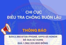 Customs Authority Auctions Thousands of Seized iPhones as Administrative Violation Evidence, Averaging VND 800,000 per Unit