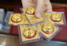 What the Entire World is Desperately Searching for Right Now