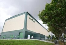 The World’s Tallest ‘Vegetable-Growing Apartment’ Near Vietnam: Spanning 2 Hectares, Producing 2,000 Tons of Vegetables Annually, Operated with Precision Like a High-Tech Factory