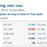 CAN Stock Plummets Following 120-Ton Diseased Pig Scandal