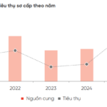 DKRA Projects Double-Digit Price Growth for Mid-Tier Apartments in Ho Chi Minh City by 2025