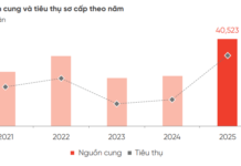 DKRA Projects Double-Digit Price Growth for Mid-Tier Apartments in Ho Chi Minh City by 2025