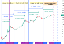 The Future of Bitcoin (Part 1): Has the Year of Defense Arrived?