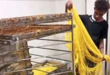 800 Tons of Chemical-Laden Fresh Noodles Flood Ho Chi Minh City Market: What Are the Health Risks?