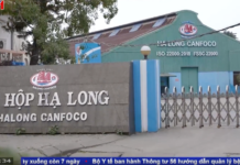 Who is the Recently Arrested CEO of Halong Canned Food?