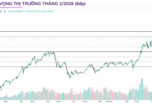 Massive Capital Inflow Returns: Brokerages Highlight Stocks Poised for January Breakout