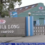 Consumer Concerns Over Halong Canning JSC’s Pate: “I Bought It for My Child to Eat…”