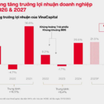 VinaCapital’s Head of Research: Stock Market Still Has Room for “Repricing,” Multiple Attractive Sectors with Exceptionally High ROE
