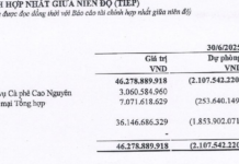 Highlands Coffee Confirmed as Major Consumer Partner in Halong Can Company’s 2025 Semi-Annual Financial Report