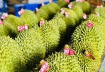 Thailand and Vietnam’s Durian Blues: Another Major Player Officially Brings Frozen Exports to China
