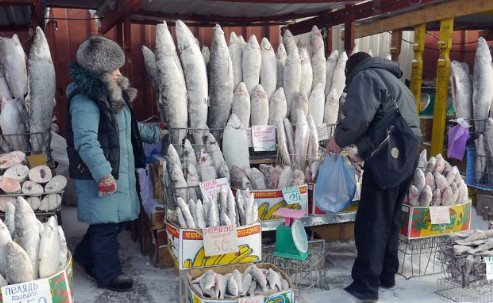 Europe’s Surprising Russian Obsession: Spending Over €700 Million on a Non-Oil, Non-Gas Commodity at Multi-Year High Prices