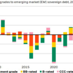 BlackRock Highlights Vietnam as a Promising Emerging Market