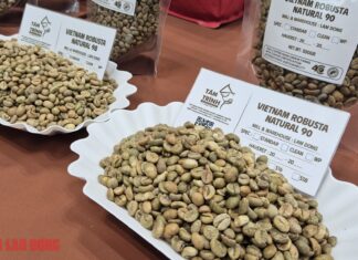 Today’s Coffee Prices (Jan 16): Robusta Surges Past $4,000/Ton in 4 Consecutive Sessions