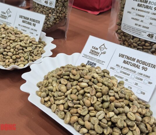 Today’s Coffee Prices (Jan 16): Robusta Surges Past $4,000/Ton in 4 Consecutive Sessions