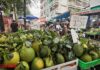 Green-Skin Pomelo Prices Unexpectedly Drop Just Before the Lunar December