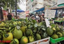 Green-Skin Pomelo Prices Unexpectedly Drop Just Before the Lunar December