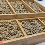 Today’s Coffee Prices (Jan 15): Robusta Floods the Market