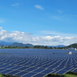 BB Group’s Energy Division Members Fined for Withholding Critical Information