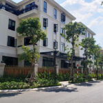 Ho Chi Minh City’s Landed Property Prices Plummet by Nearly Half as Developers Ramp Up Discounts