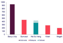 Southeast Asia’s Largest Oil Discovery in 20 Years Unearthed in Vietnam: A Game-Changer for Production Reversal