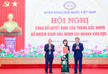 Ms. Truong Thu Hoa Appointed as Director of the State Bank of Vietnam, Zone 4 Branch