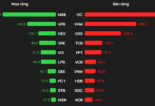 Foreign Block Net Selling as VN-Index Surges 28 Points, Two Blue-Chip Stocks Dumped for Over 700 Billion VND