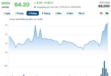 Logistics Giant’s Stock Plunges After State Divestment Hint, Market Cap Hits $3 Billion Threshold